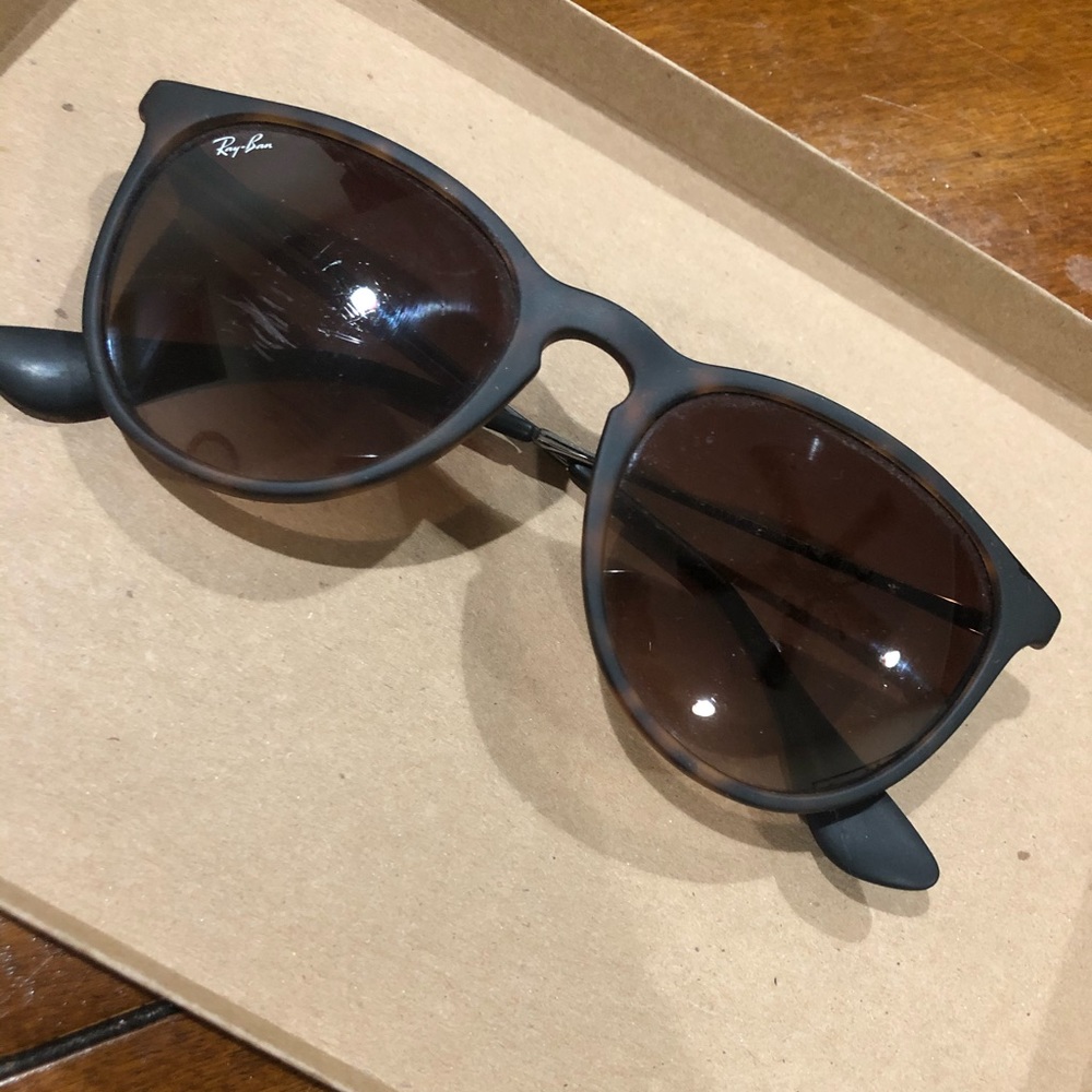 Ray-Ban Erika Sunglasses